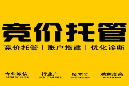 百度SEM优化案例：揭秘高转化率背后的秘密